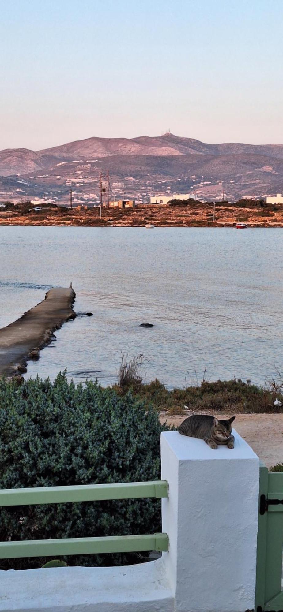 Mike'Splace Antiparos Town المظهر الخارجي الصورة
